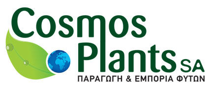 cosmosplants